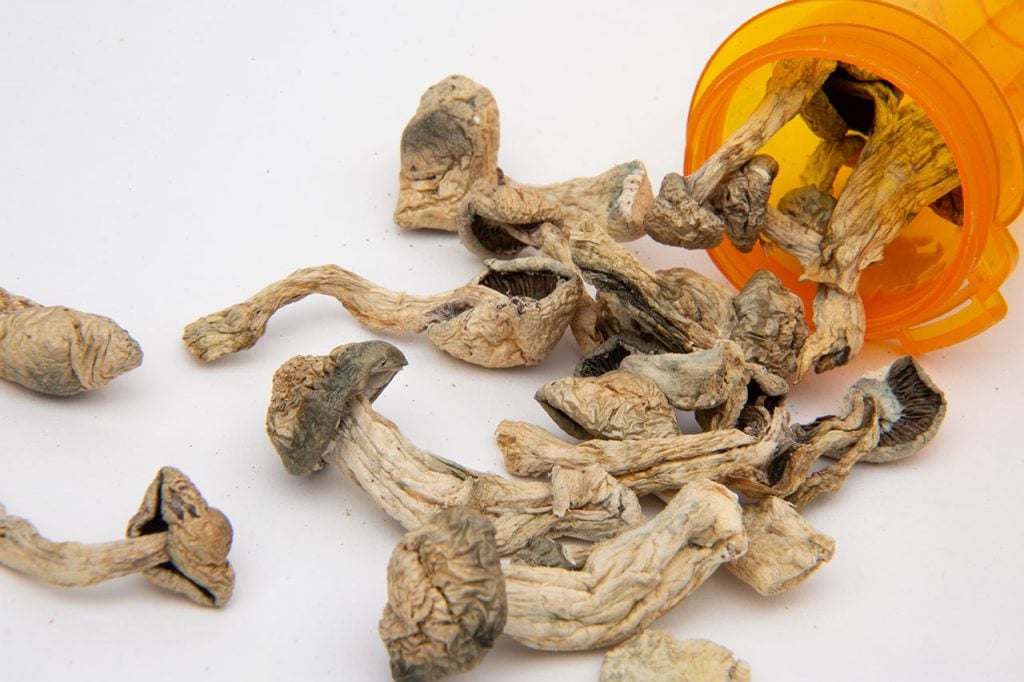 What Happens If You Mix Edibles And Shrooms?