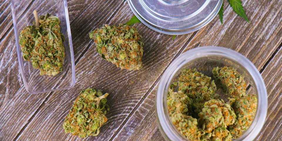 Avoid These Rookie Mistakes When Buying Cannabis