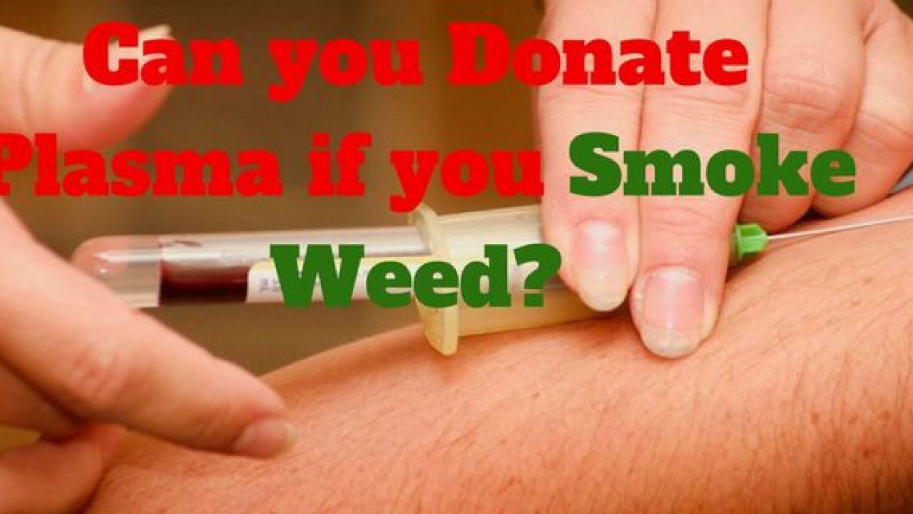 Can You Donate Blood Plasma If You Smoke Slyng Com Can You Donate Blood Plasma If You Smoke Slyng Com